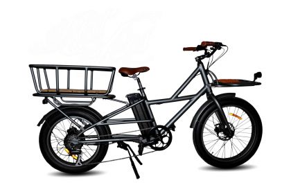 pop fødsel Grøn Pandora Cargo Bike