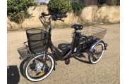 Electric Tricycle Eureka Matte Brown