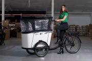 Hermes - Cargo Electric Tricycle
