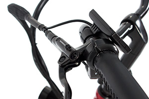 Cuore - Hydraulic Disk Brakes